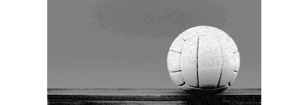 Volleyball vår 2024